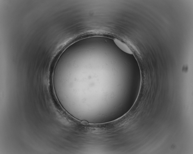 X0000091080486200708201437