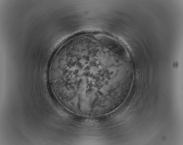 X0000091080487200708201437