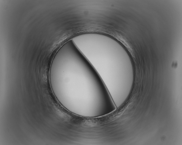 X0000091080489200708201437