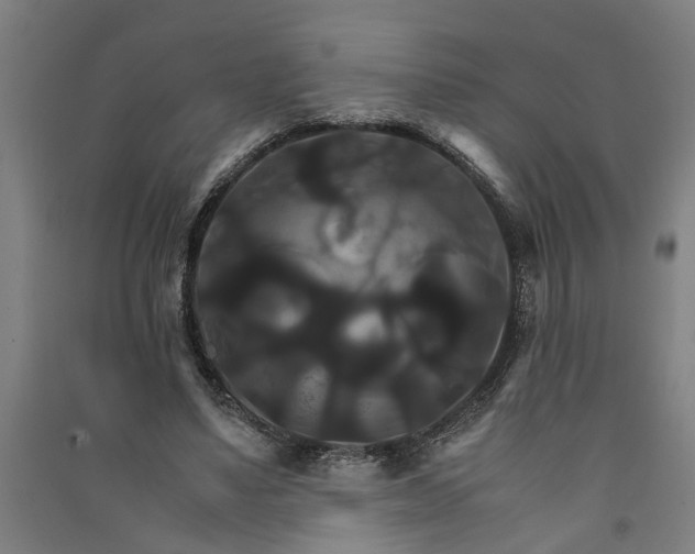 X0000091080491200708201437