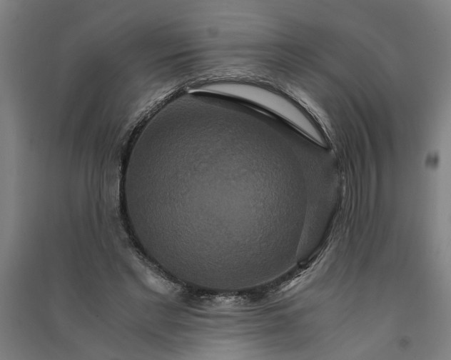 X0000091080493200708201437