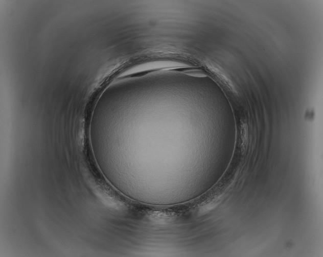 X0000091080494200708201437