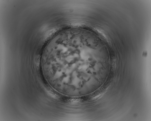 X0000091080495200708201437