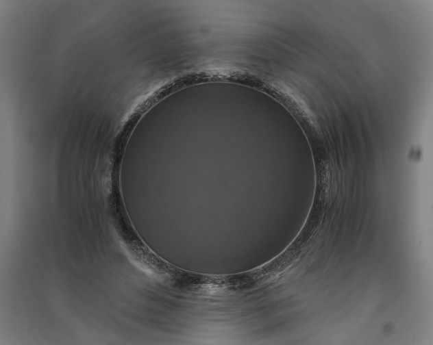 X0000091080496200708201437