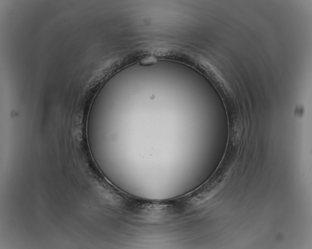 X0000091080497200708201437