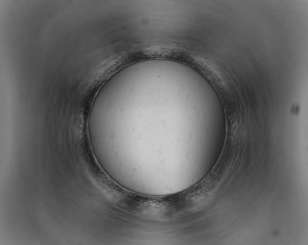 X0000091080498200708201437