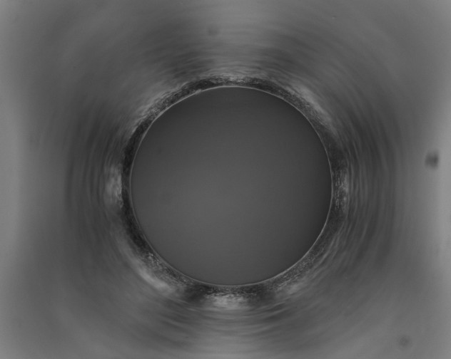 X0000091080500200708201437