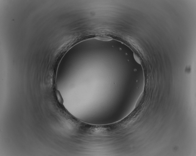 X0000091080501200708201437