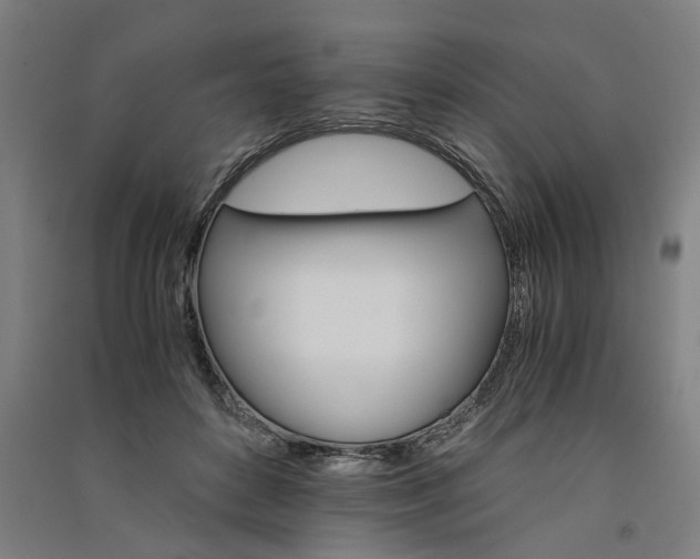 X0000091080504200708201437