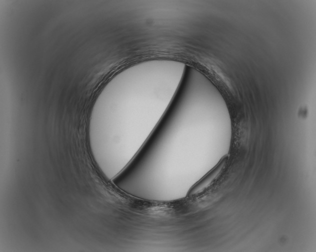 X0000091080505200708201437