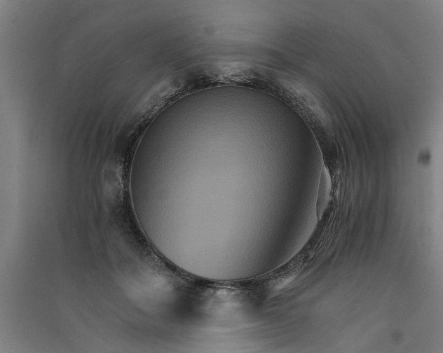 X0000091080506200708201437