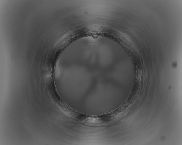 X0000091080507200708201437