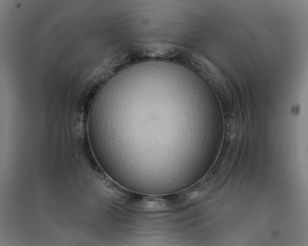 X0000091080510200708201437