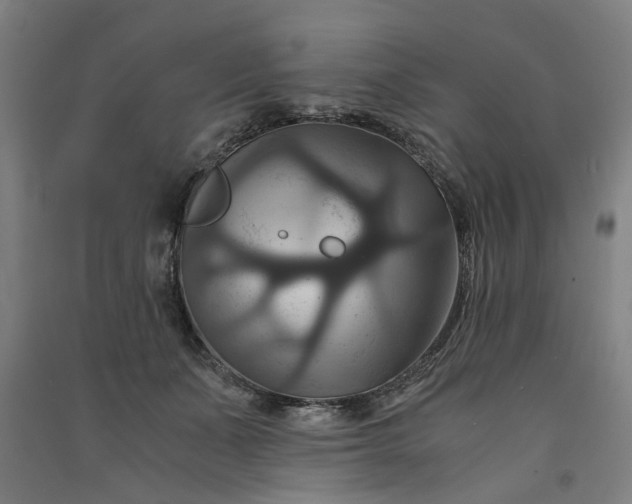 X0000091080511200708201437