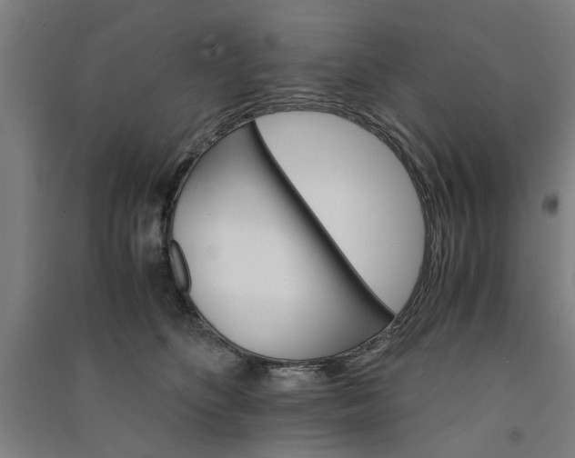 X0000091080516200708201437