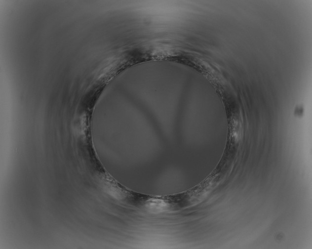 X0000091080519200708201437