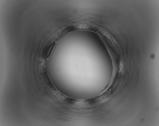 X0000091080521200708201437