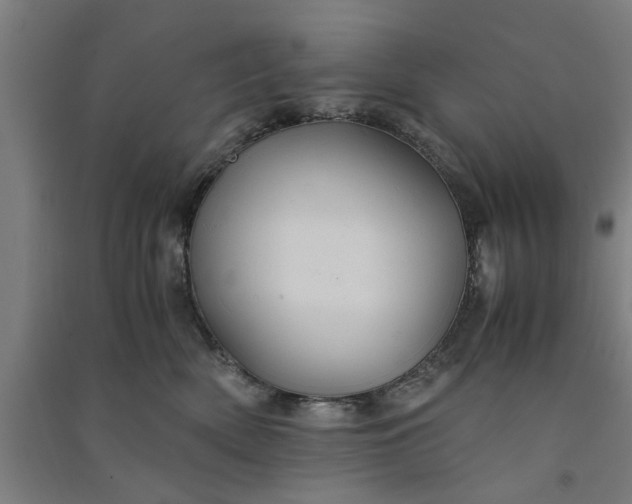 X0000091080522200708201437