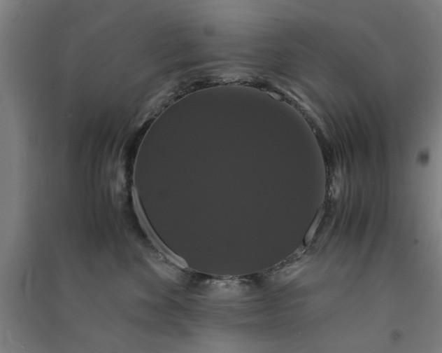 X0000091080524200708201437