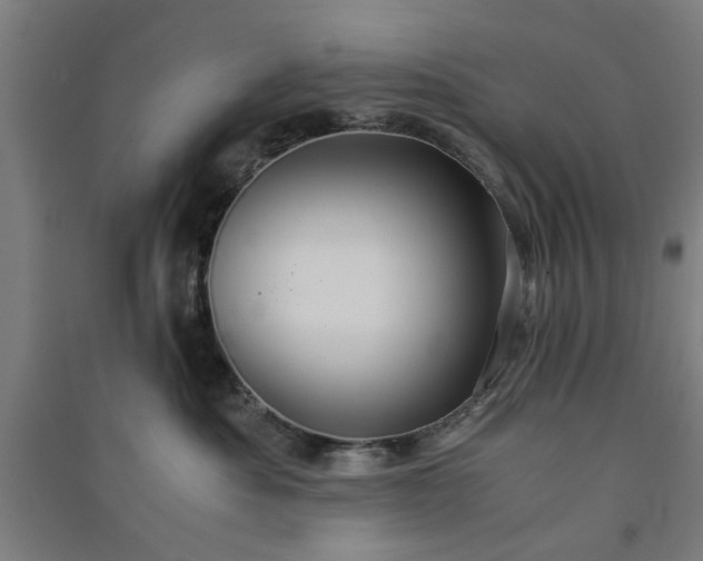 X0000091080525200708201437