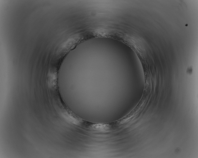 X0000091080526200708201437