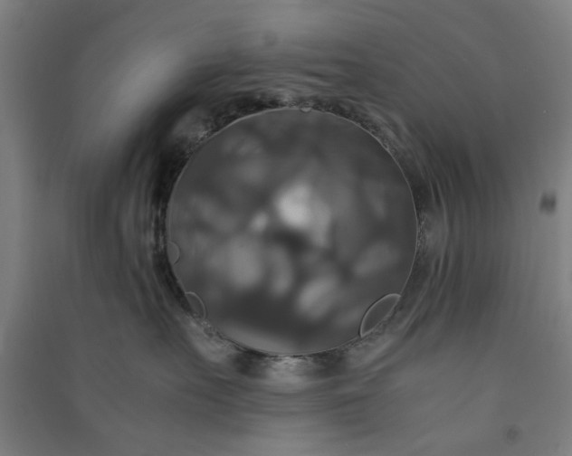 X0000091080527200708201437