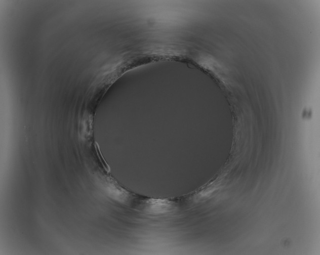 X0000091080528200708201437