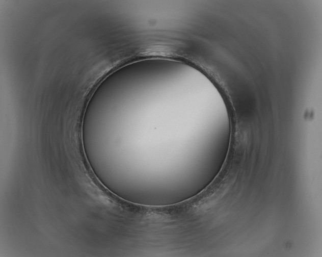 X0000091080529200708201436