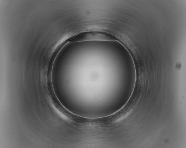 X0000091080530200708201436