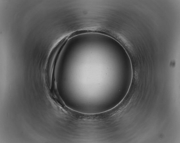 X0000091080532200708201436