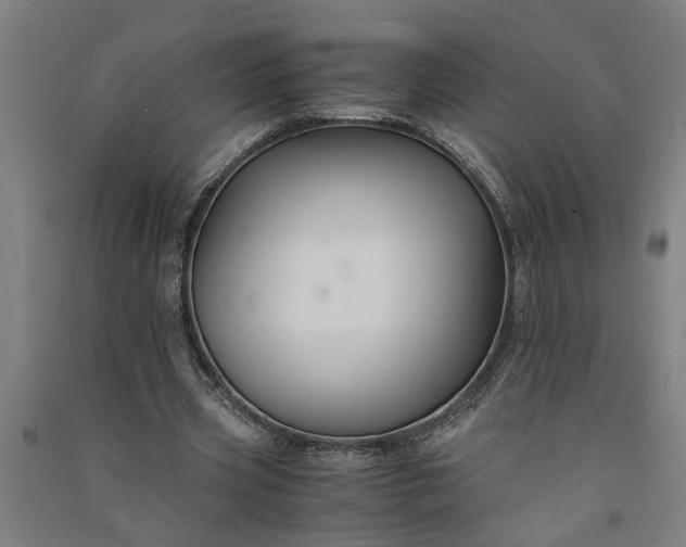 X0000091080533200708201436