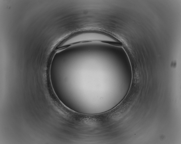 X0000091080535200708201436