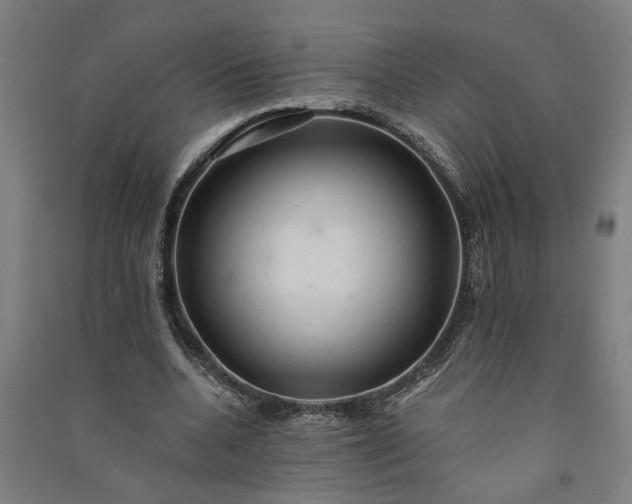 X0000091080536200708201436