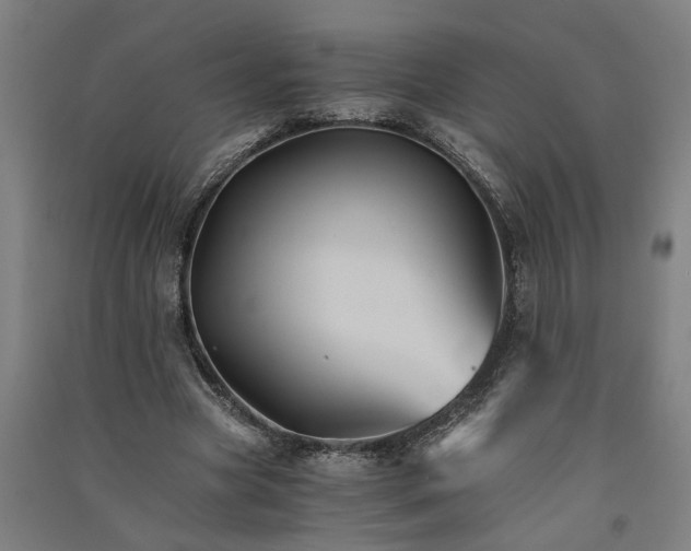 X0000091080537200708201436