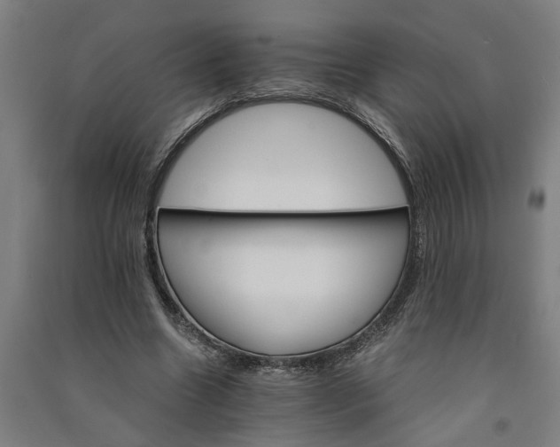 X0000091080538200708201436