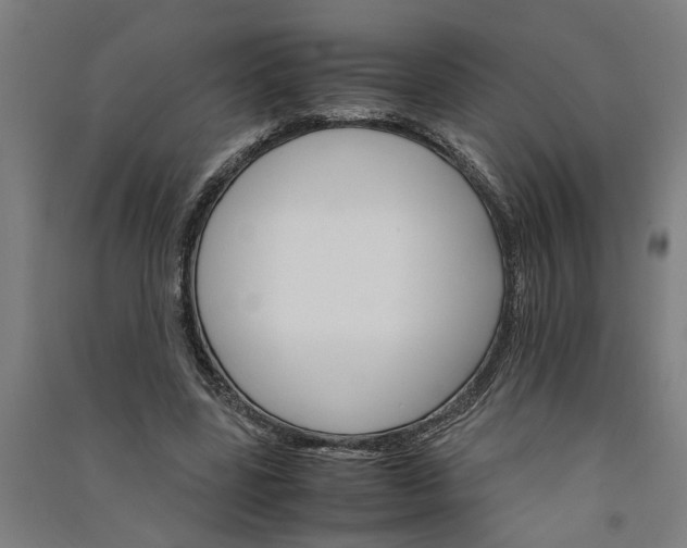 X0000091080539200708201436