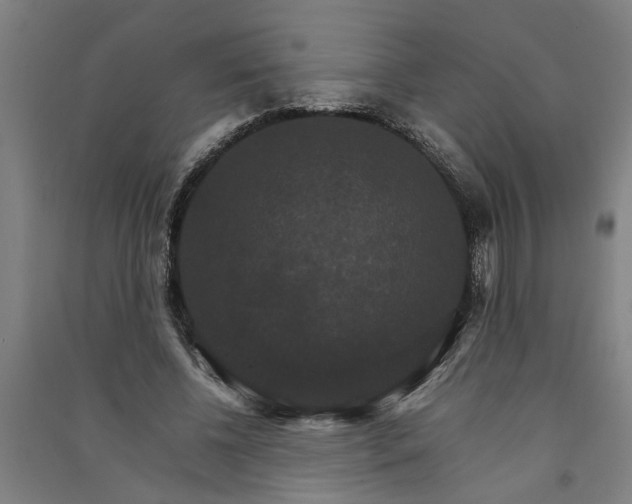 X0000091080540200708201436