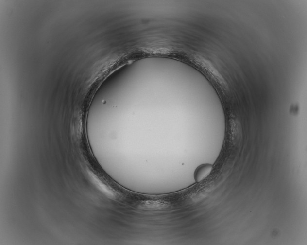 X0000091080541200708201436