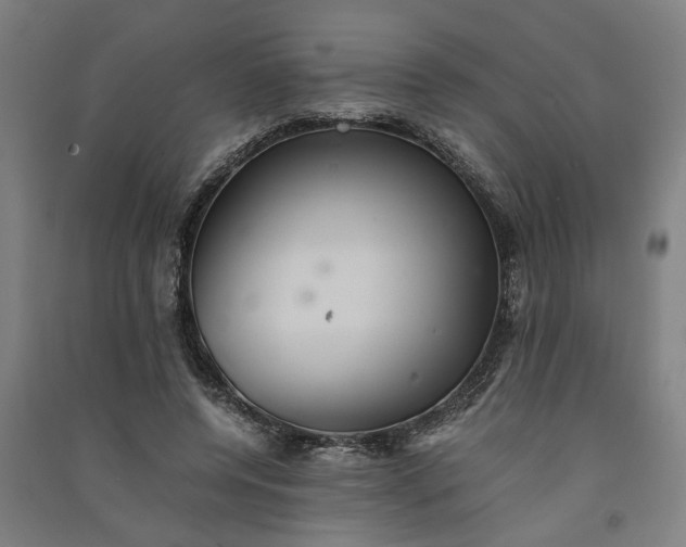 X0000091080544200708201436