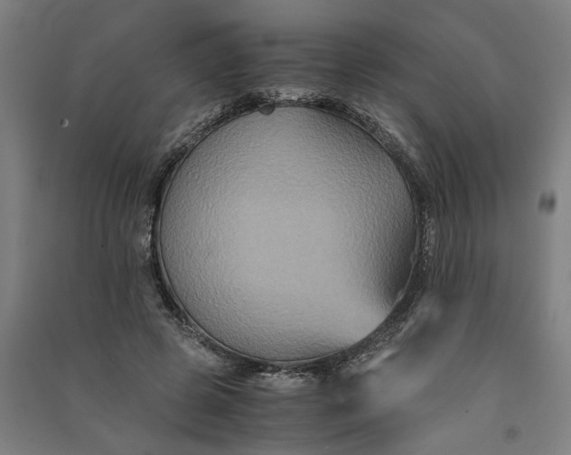 X0000091080545200708201436