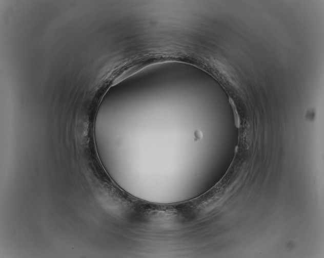 X0000091080548200708201436