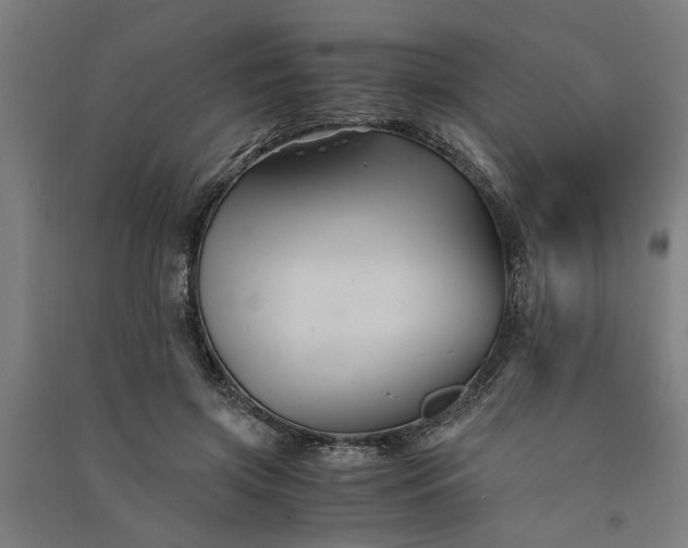 X0000091080549200708201436