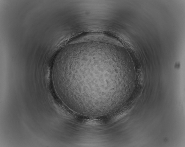 X0000091080550200708201436