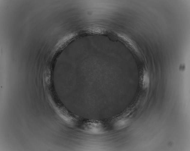 X0000091080552200708201436