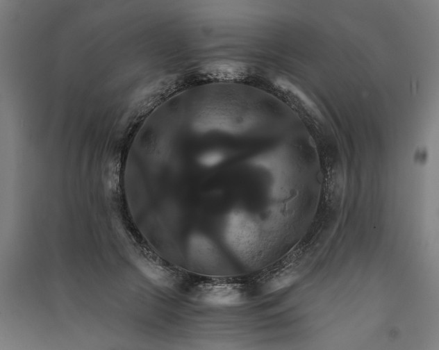 X0000091080553200708201436