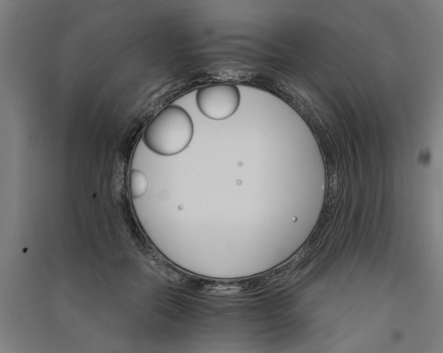 X0000091080554200708201436