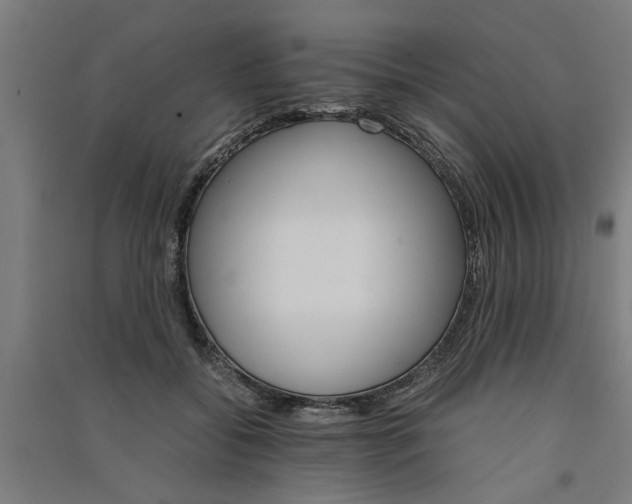 X0000091080556200708201436