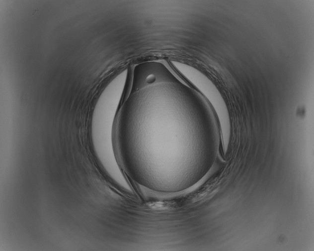 X0000091080558200708201436