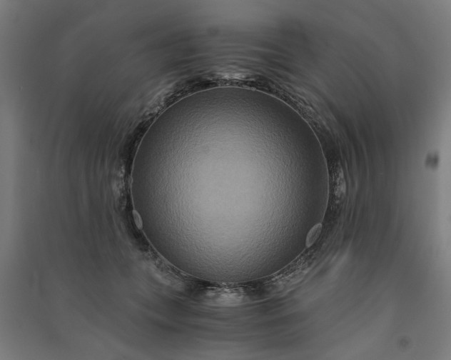 X0000091080559200708201436