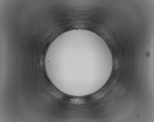 X0000091080561200708201436